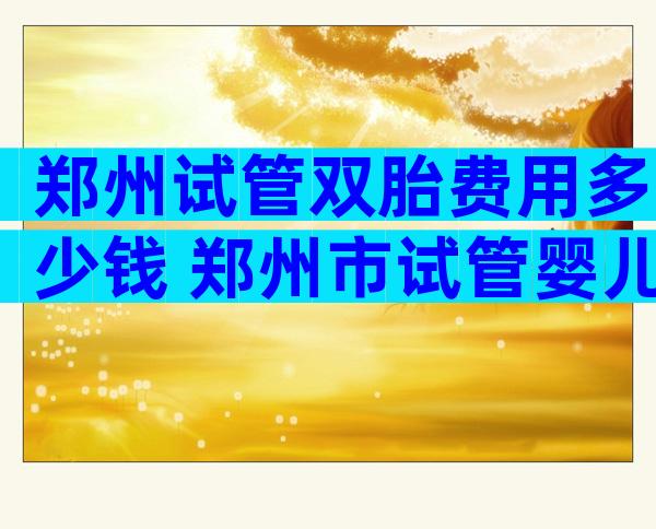 郑州试管双胎费用多少钱 郑州市试管婴儿要多少钱